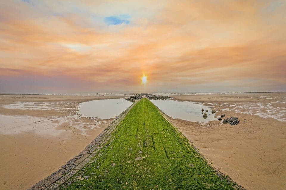 Region [summer] (>5 km)