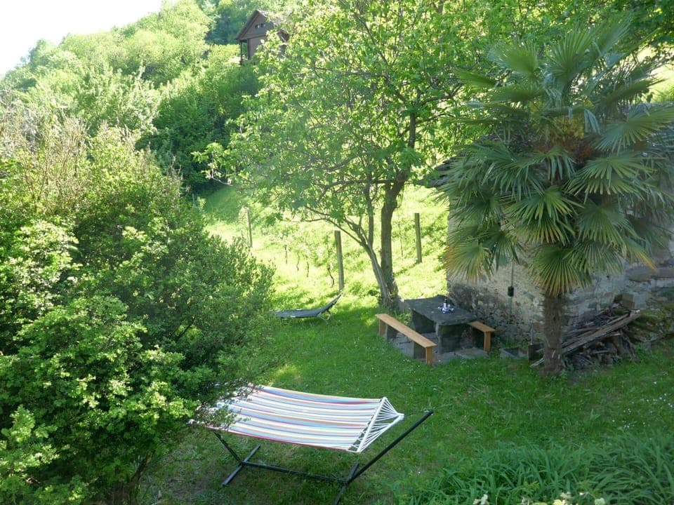 Shrub, Garden, Backyard, Lawn, Shade, Landscaping, Yard, Outdoor Furniture, Botanical Garden