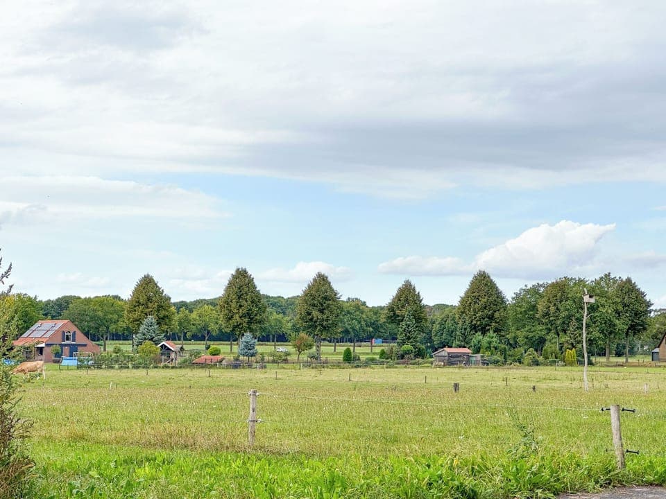 Immediate Surroundings [summer] (<1 km)