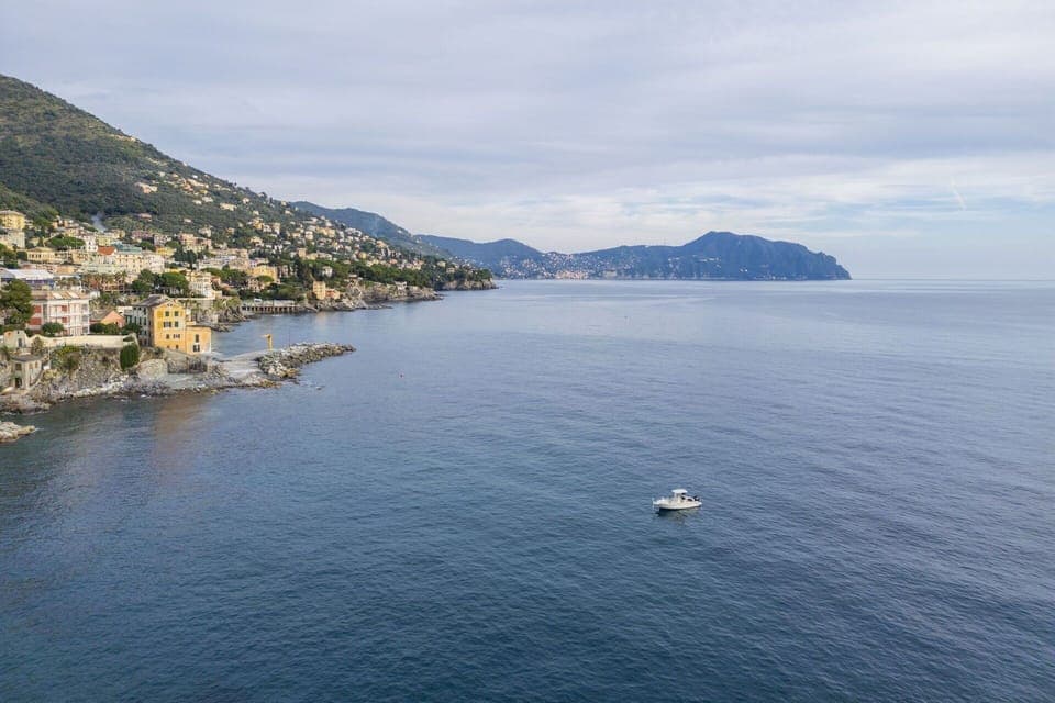 Autumn, Outdoor, Spring, Summer