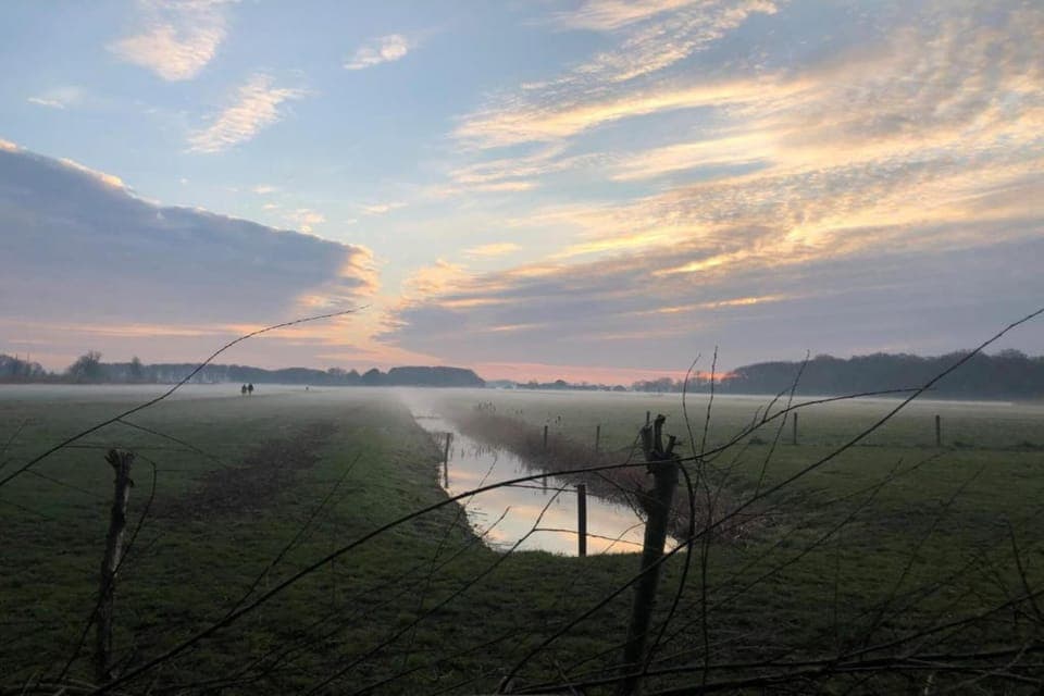 Region [summer] (>5 km)