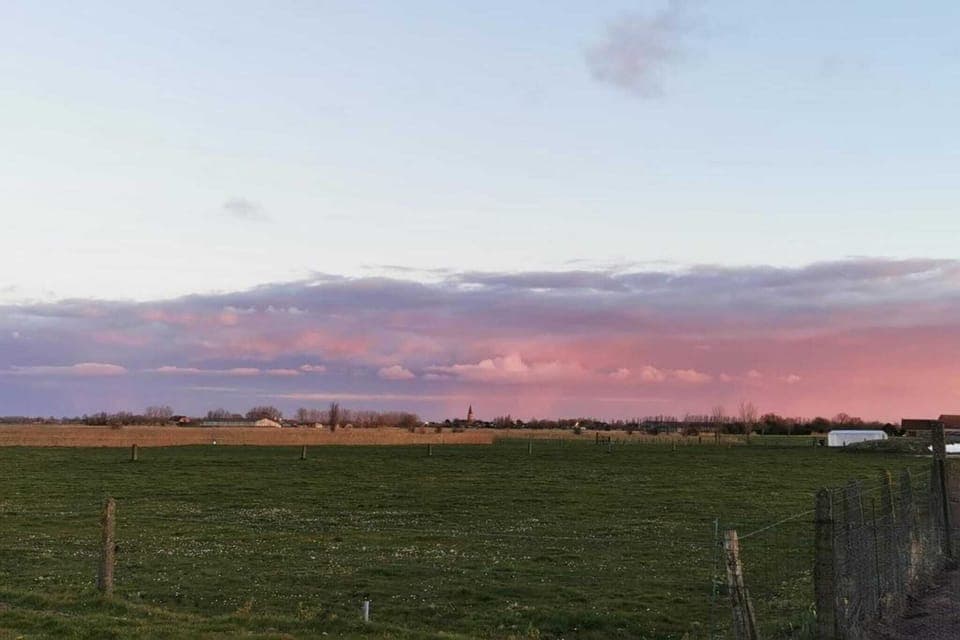 Region [summer] (>5 km)