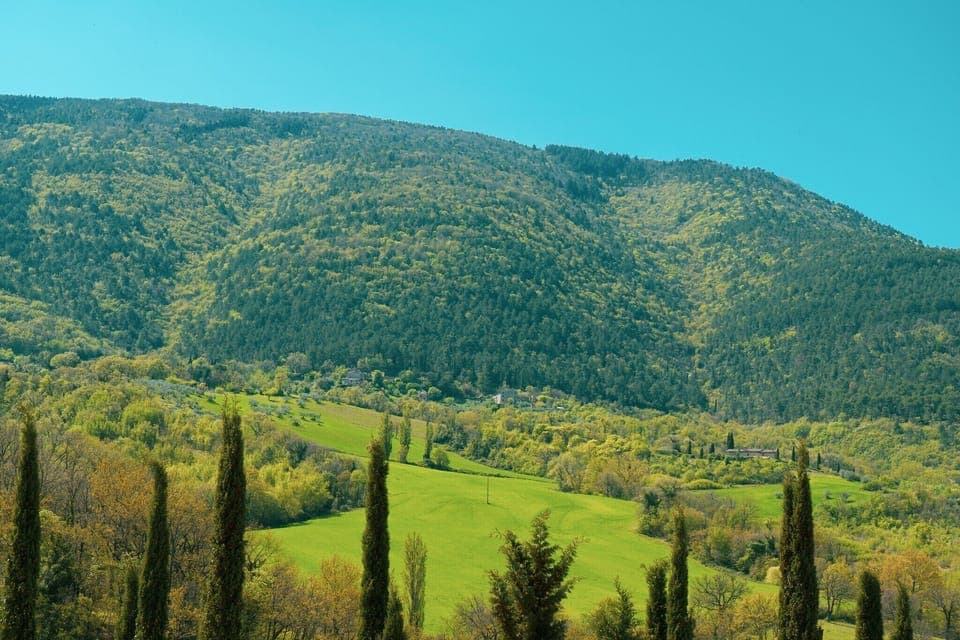 View from Holiday Home [summer]