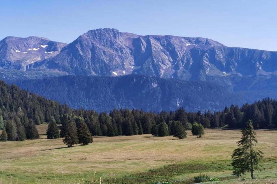 Surroundings [summer] (1-5 km)