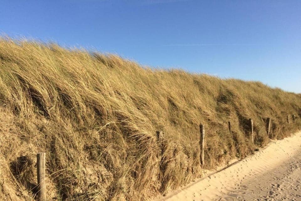 Region [summer] (>5 km)