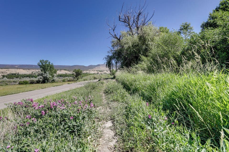 Surrounding Area