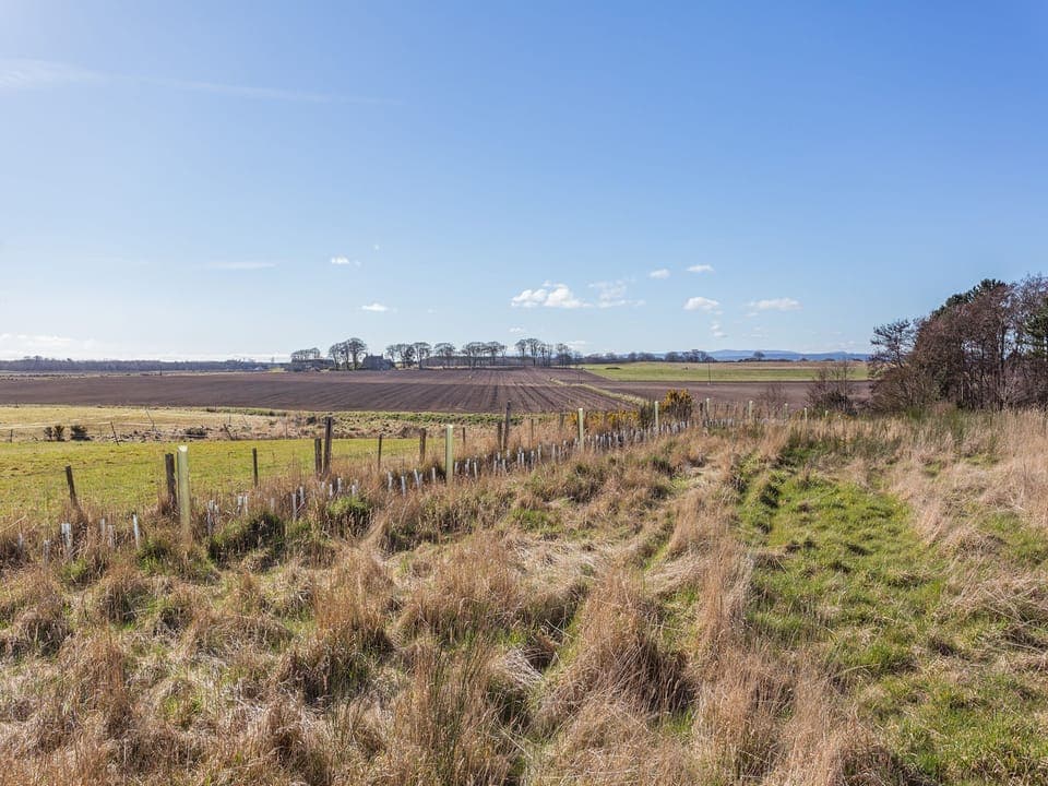 View | Smiddy Cottage, Portmahomack