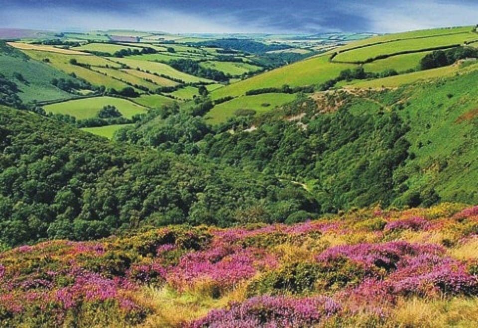 Beautiful Exmoor