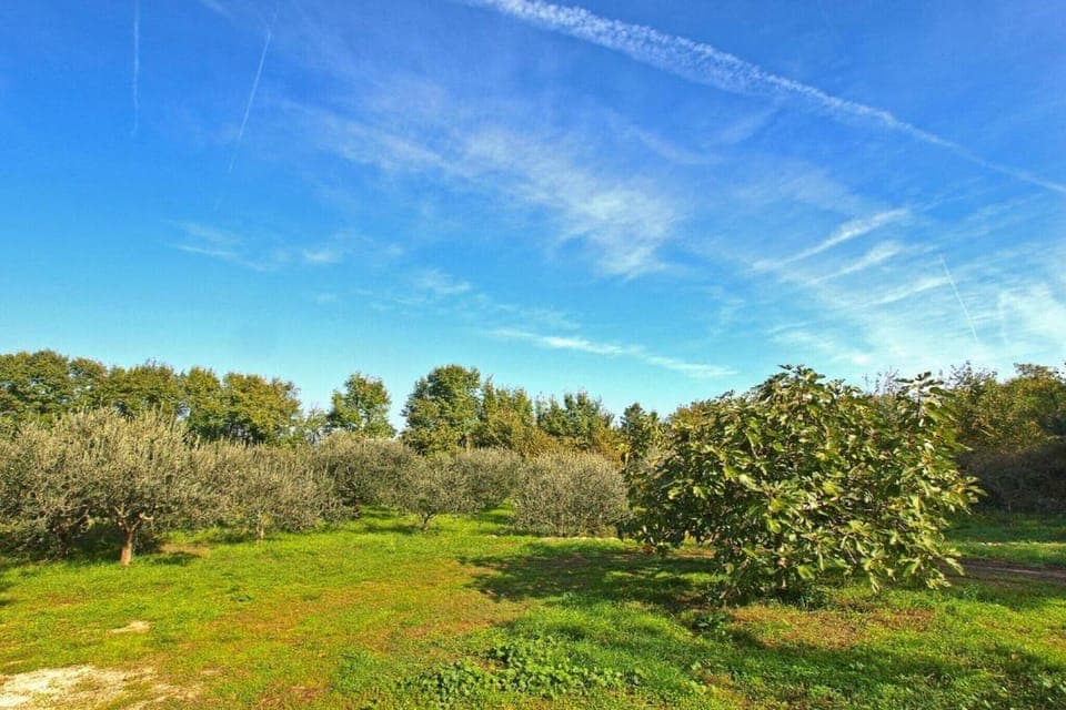 Surroundings [summer] (1-5 km)