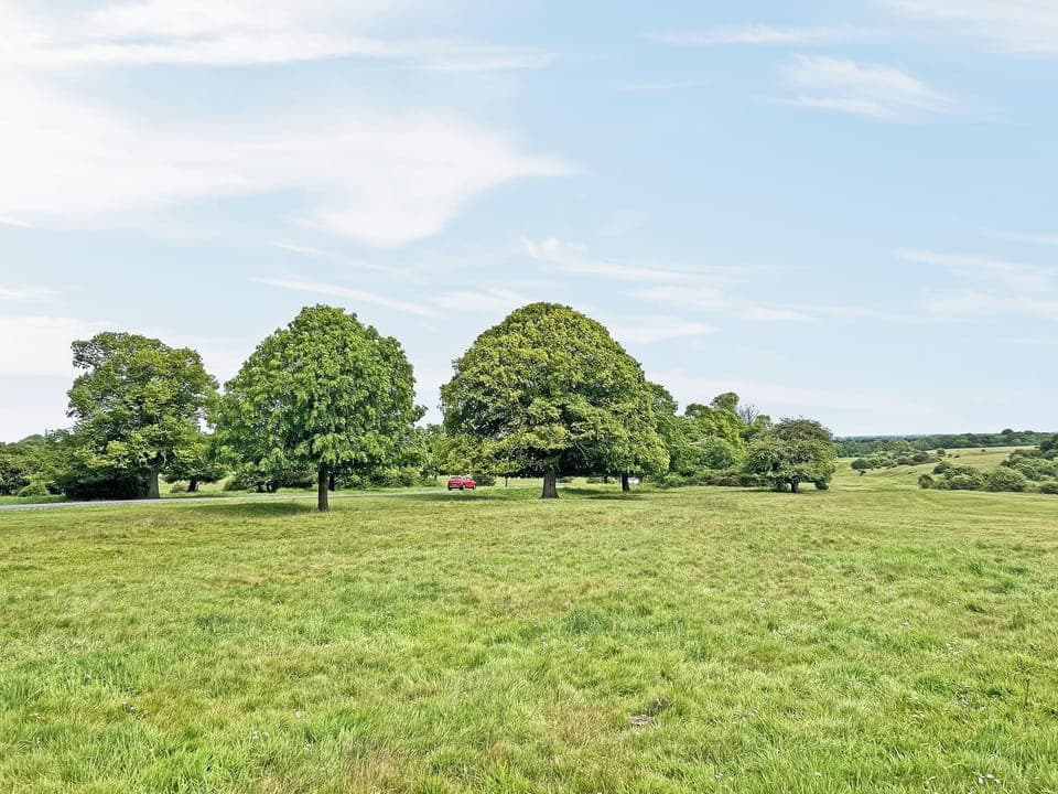 Surrounding area | Holly&rsquo;s Apartment, Beverley