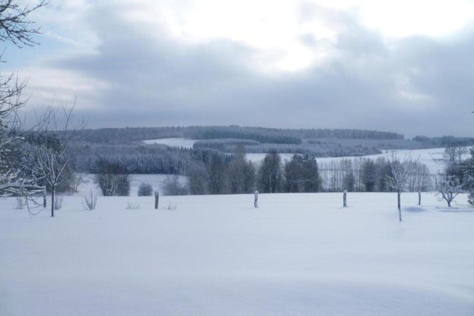 Region [winter] (>5 km)