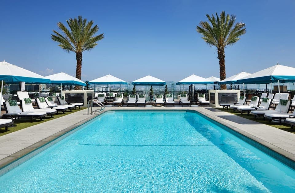 Dive into sunshine at a palm-lined rooftop pool oasis.