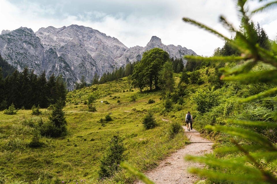 Region [summer] (>5 km)