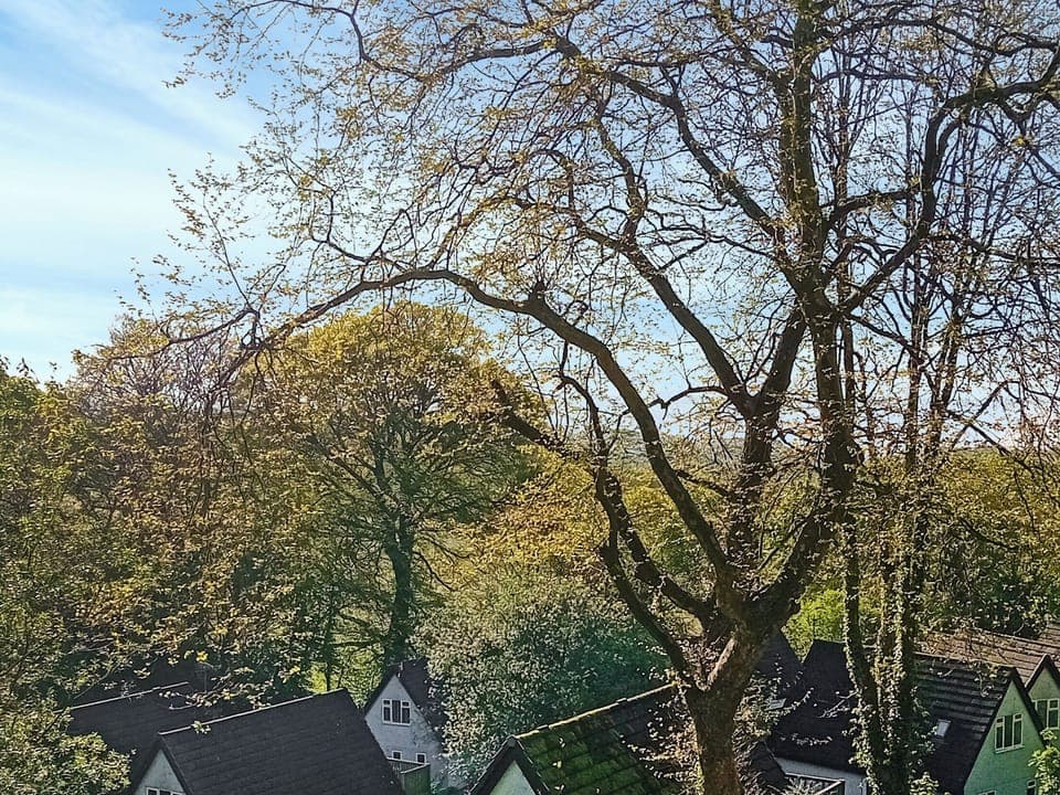 Surrounding area | Valley Lodge 56, Gunnislake