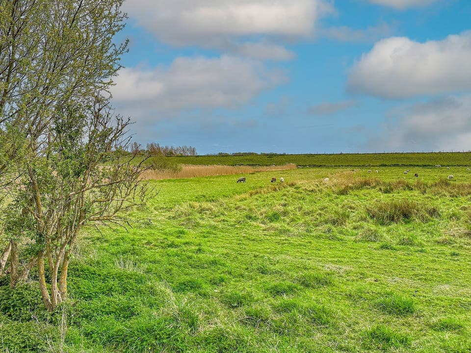 Immediate Surroundings [summer] (<1 km)