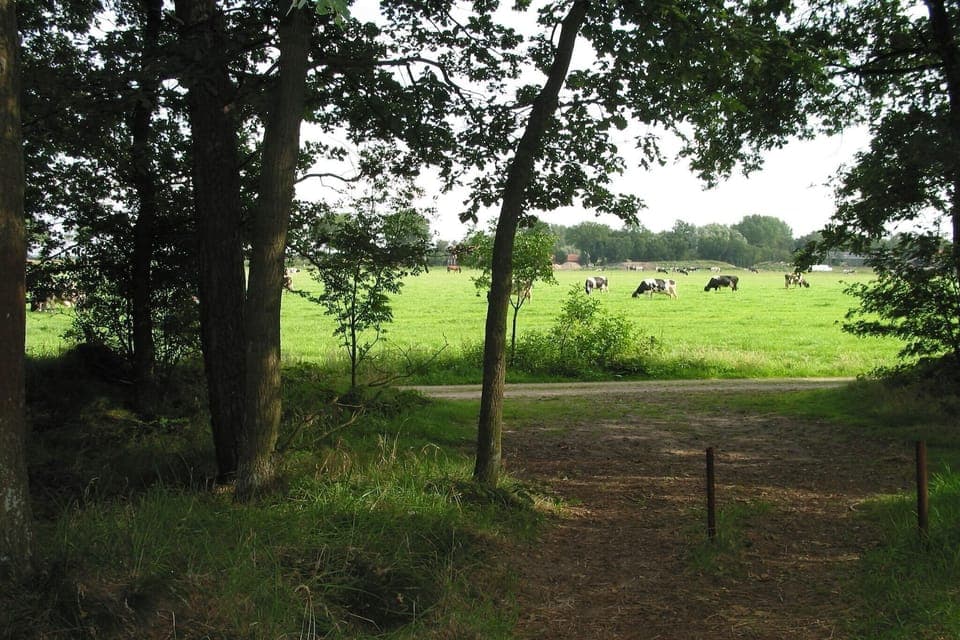 Holiday Park Facilities and Services 