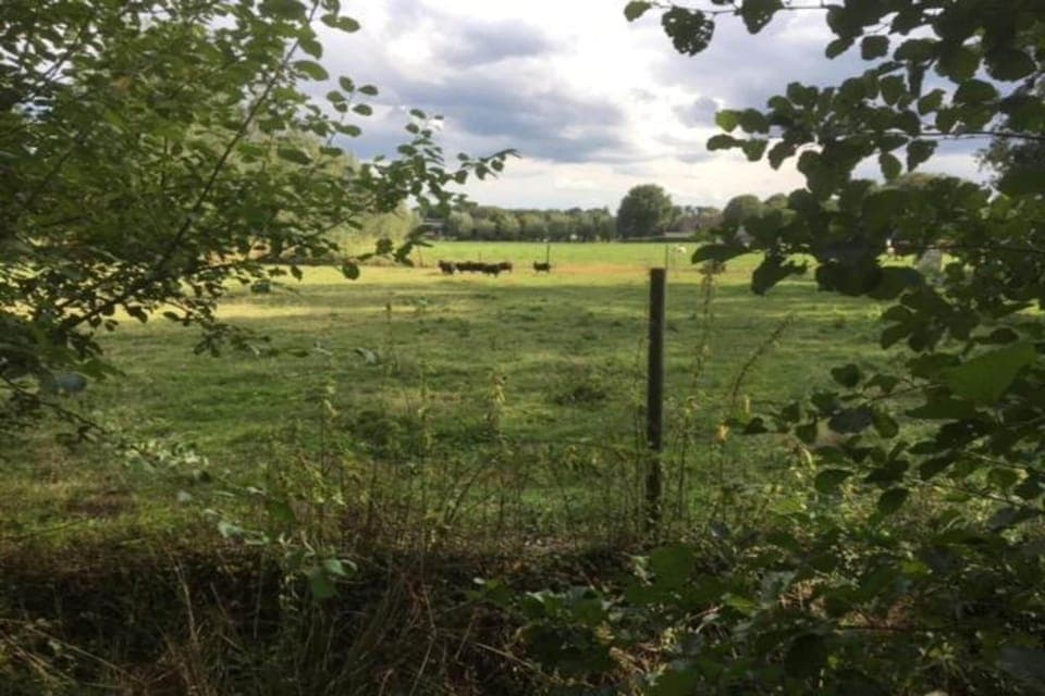 Region [summer] (>5 km)