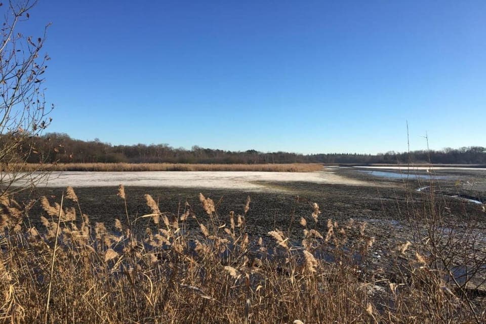 Region [summer] (>5 km)