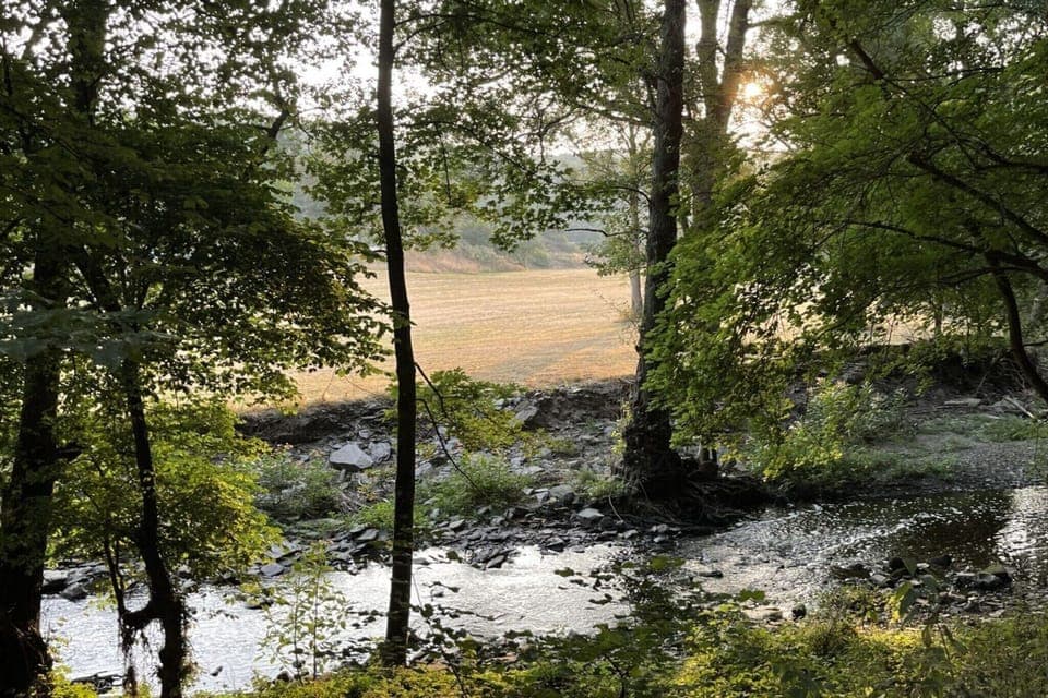 Immediate Surroundings [summer] (<1 km)