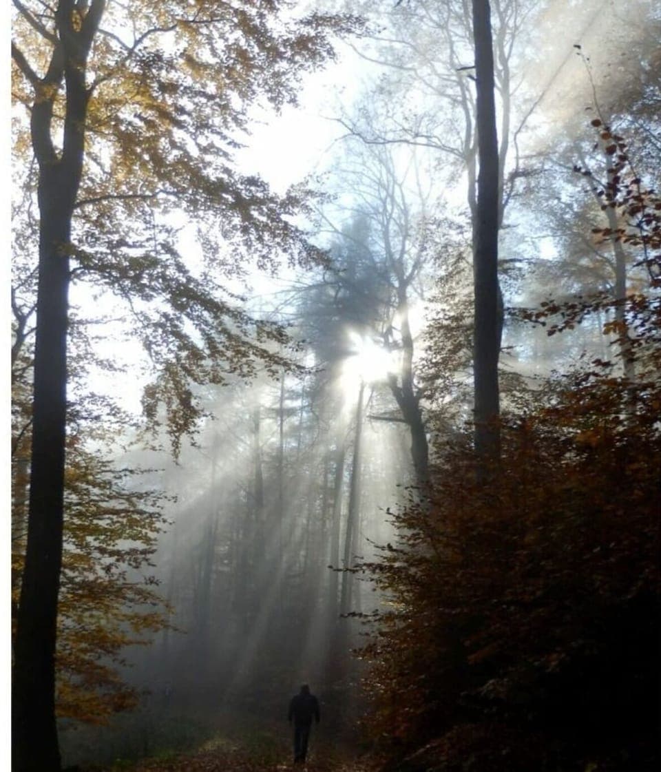 Immediate Surroundings [summer] (<1 km)