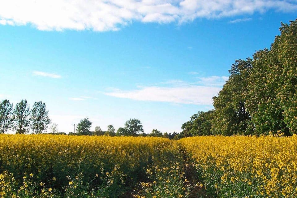 Surroundings [summer] (1-5 km)