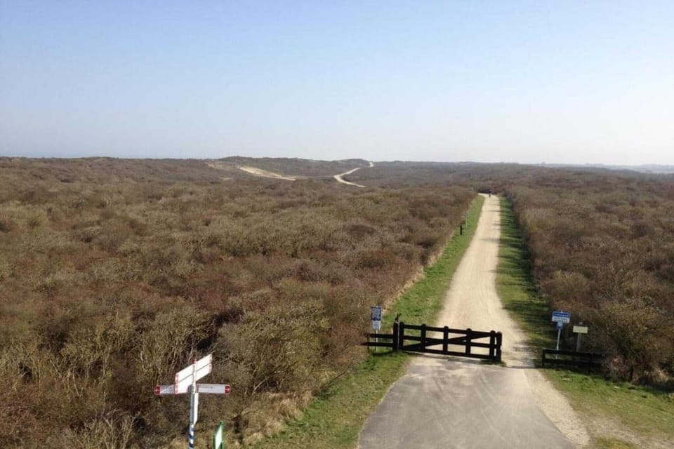 Immediate Surroundings [summer] (<1 km)