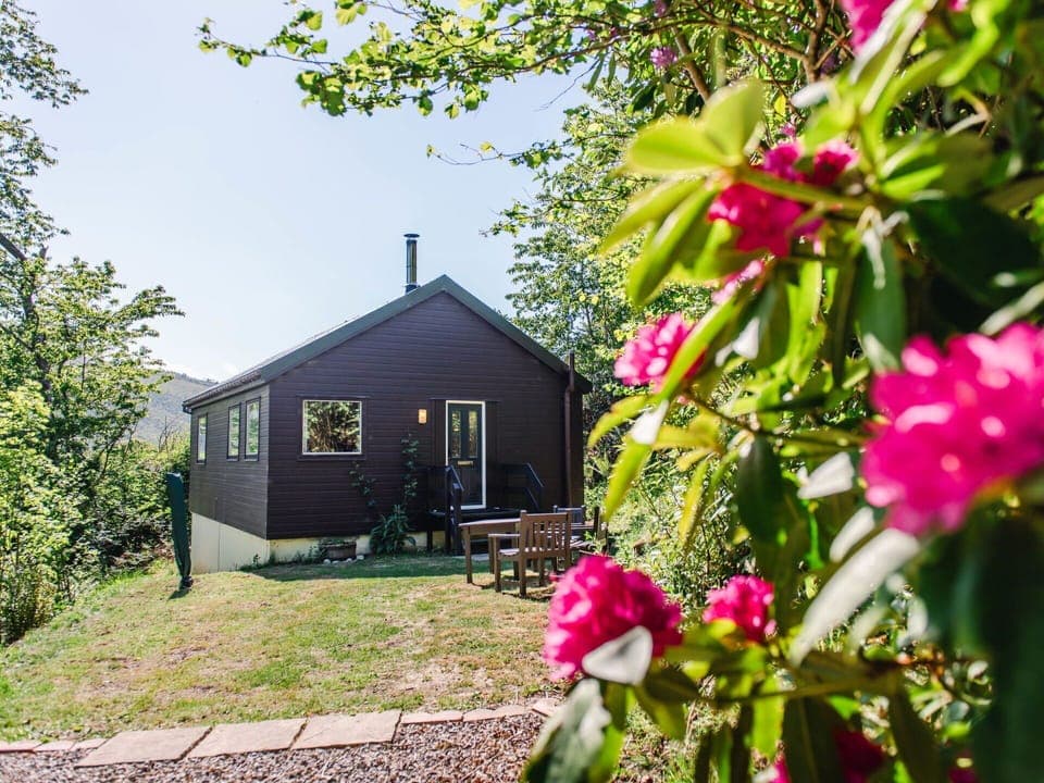 Grass, Shrub, House, Cottage, Home, Rural Area, Land Lot, Groundcover, Garden, Garden Buildings