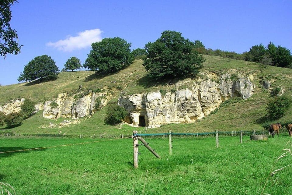 Region [summer] (>5 km)