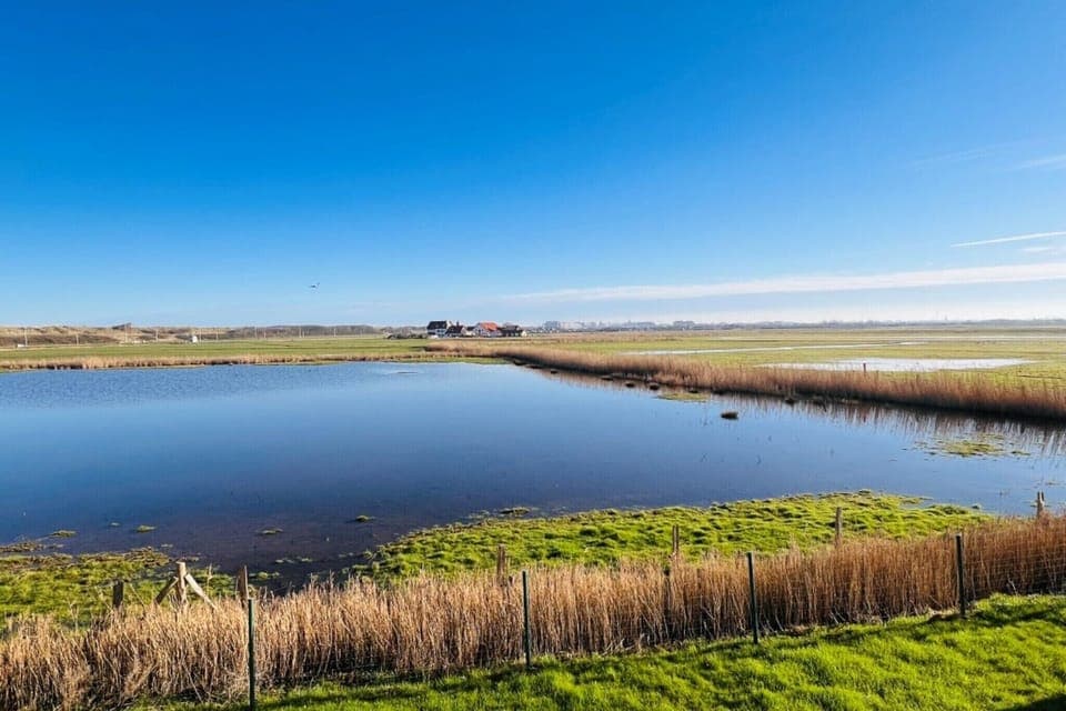 Surroundings [summer] (1-5 km)