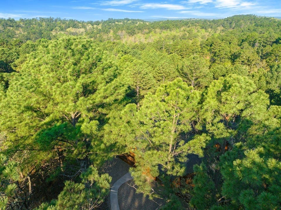 3-web-or-mls-DJI_0052