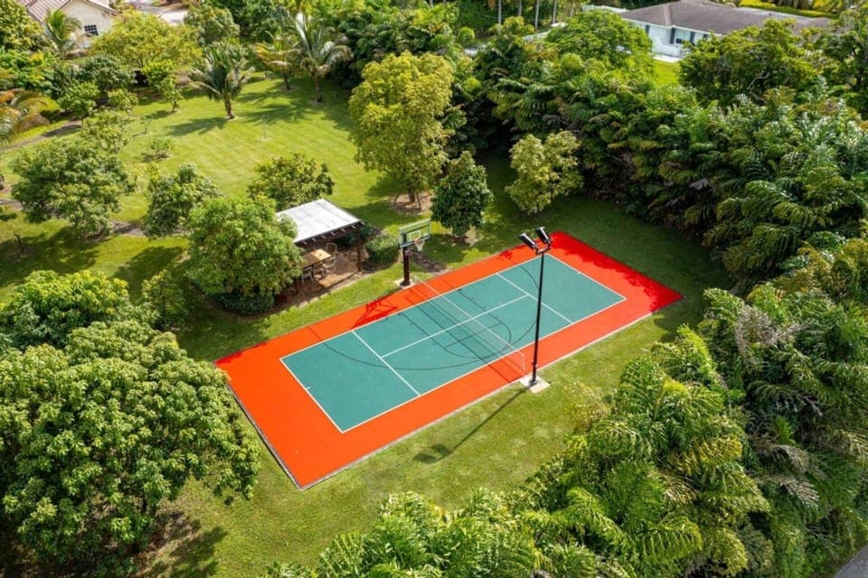 Sport court