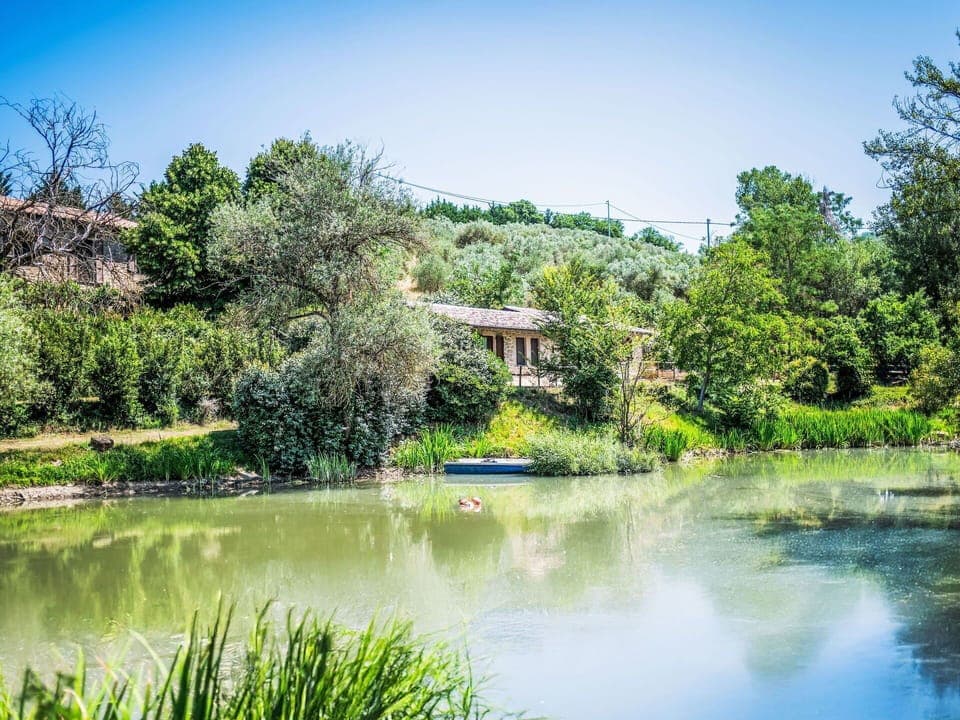 Water, Body Of Water, Water Resources, Nature, Vegetation, Natural Landscape, Watercourse, Reflection, Bank, Waterway