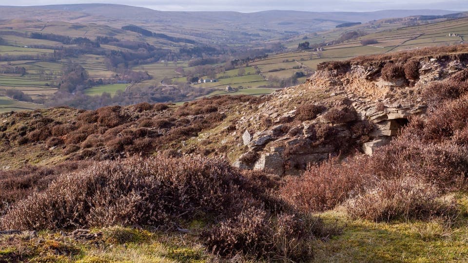 Pigswood Cottage - beautiful views in Weardale