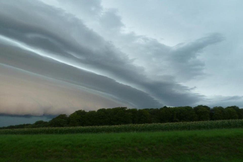 Region [summer] (>5 km)