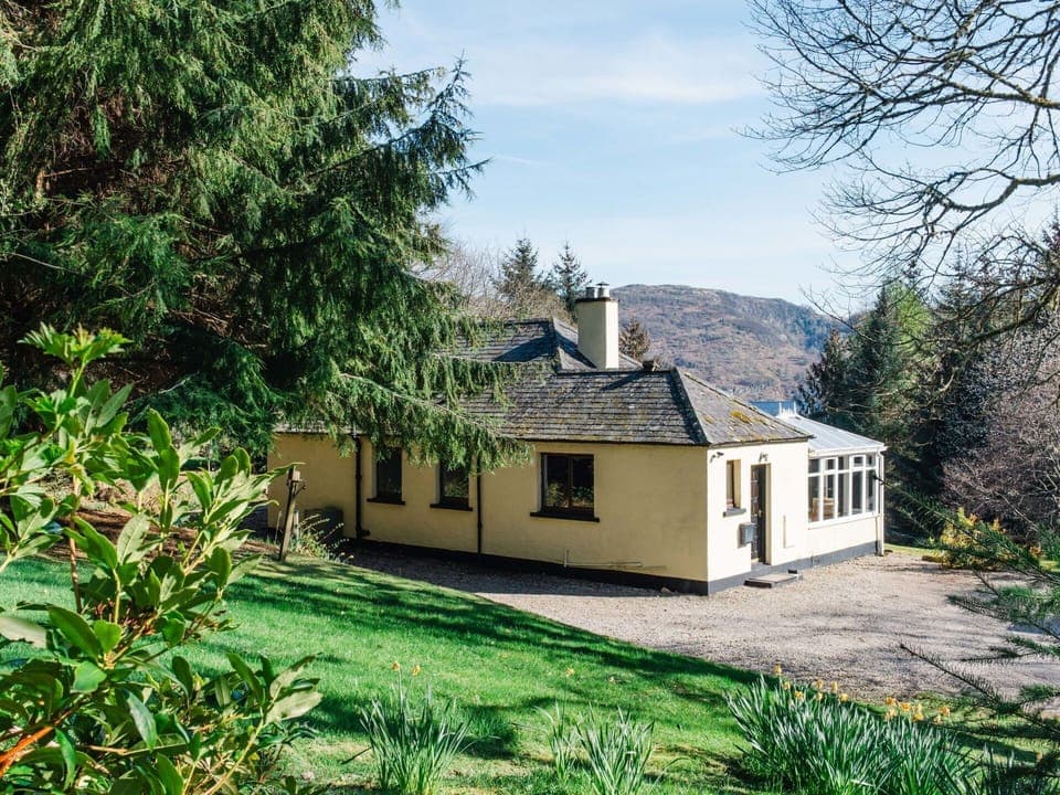 Green, Shrub, Groundcover, Garden, Lawn, Herbaceous Plant, Landscaping, Sign, Park, Botanical Garden