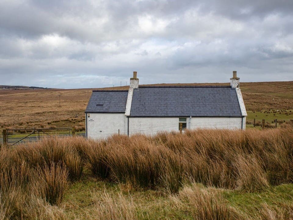 Furniture, Wood, Interior Design, Cabinetry, Kitchen, Flooring, Countertop, Cupboard, Room, Wood Stain