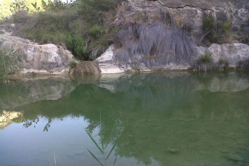 Region [summer] (>5 km)