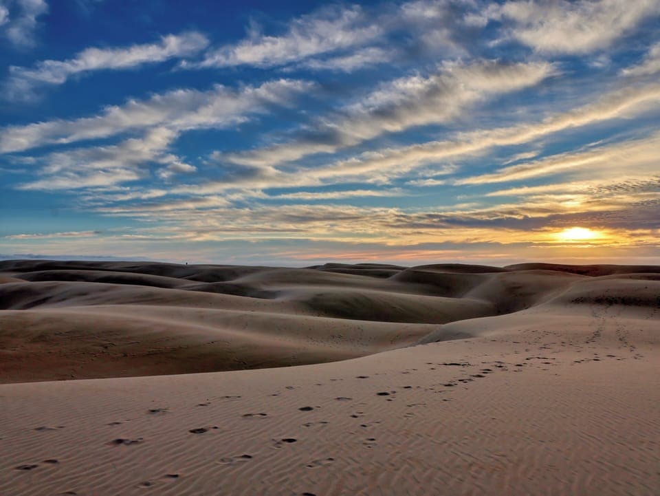 Protected sand dunes at Oceano support native wildlife and preserve the coastal ecosystem.