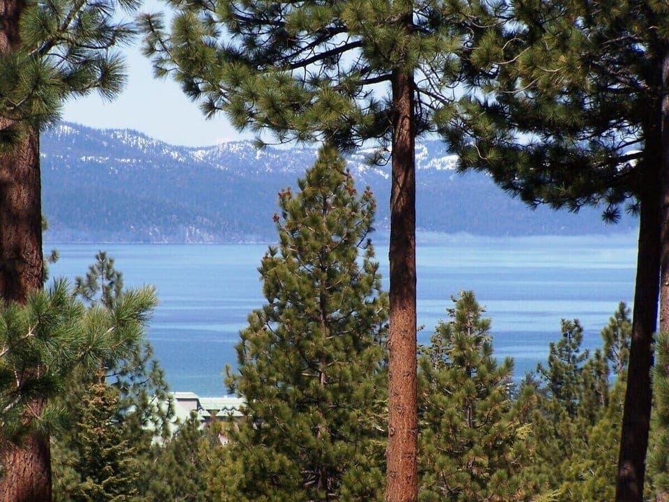 Balcony Views of the Lake