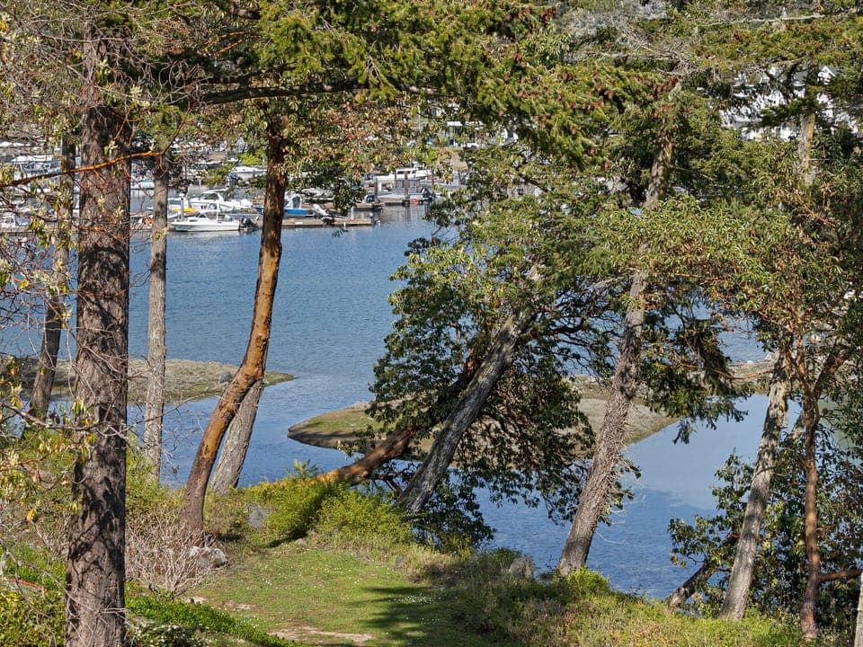 View of water and boats