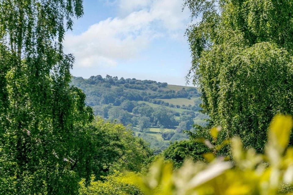 Region [summer] (>5 km)