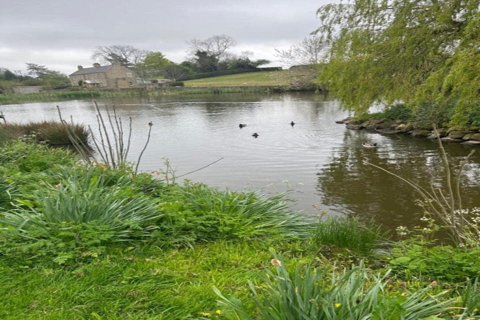 Region [summer] (>5 km)