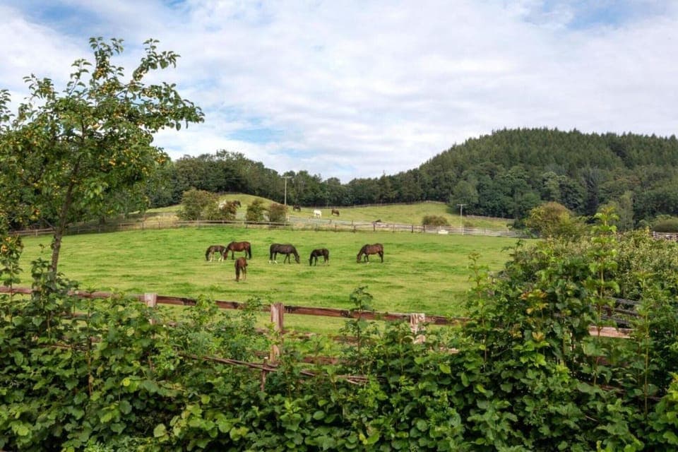 Surroundings [summer] (1-5 km)