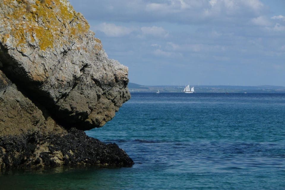 Region [summer] (>5 km)