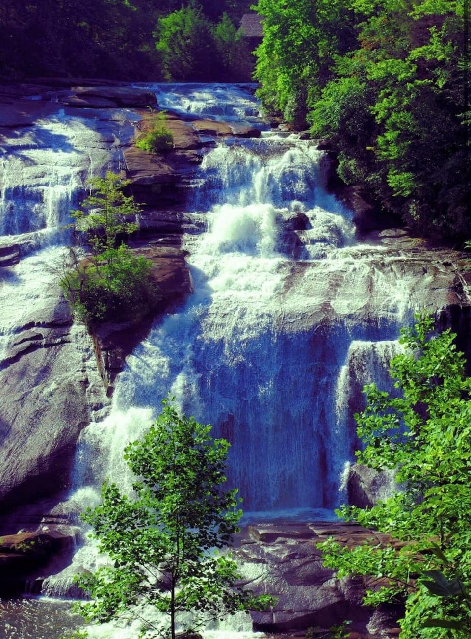 Dupont State Forest- 25 minutes away
