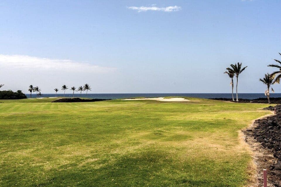 Enjoy wide open golf fairways and stunning blue ocean horizons dotted with graceful palm silhouettes.

