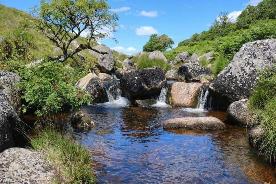 Surroundings [summer] (1-5 km)