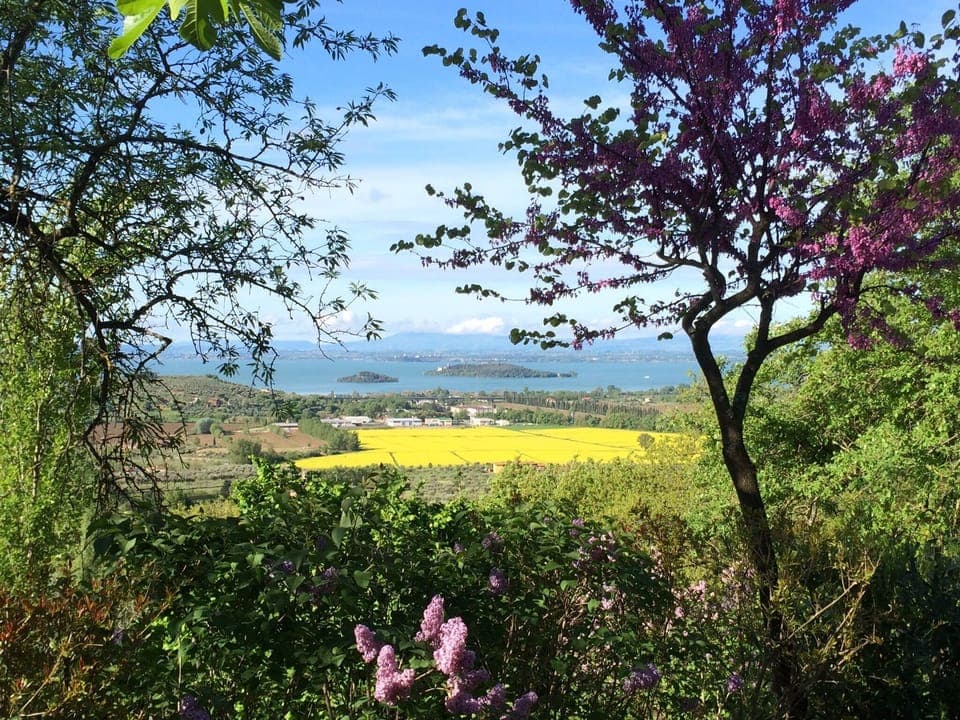 180° Trasimeno Lake view