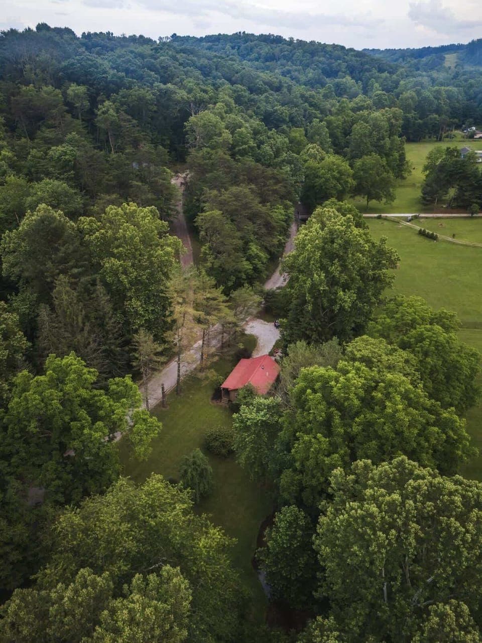 Cozy cabin nestled in lush greenery with a spacious patio featuring a hot tub, fire pit, and outdoor seating—perfect for peaceful nature retreats and relaxing evenings 