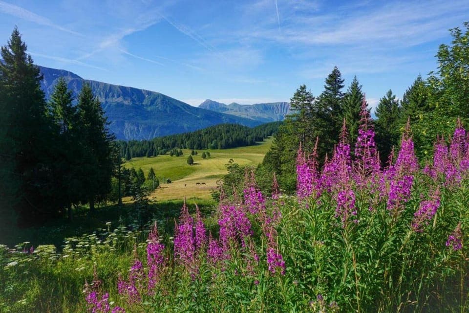 Surroundings [summer] (1-5 km)